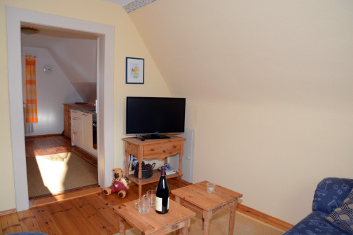 Flachbild-TV mit Satellitenempfang